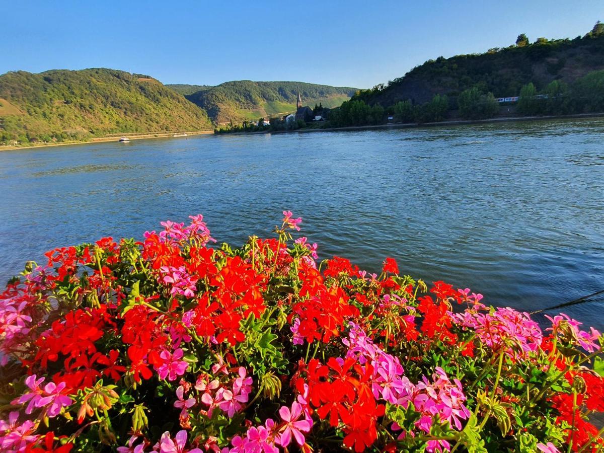 Grosse Wohnung Mit Rheinblick Boppard Ngoại thất bức ảnh